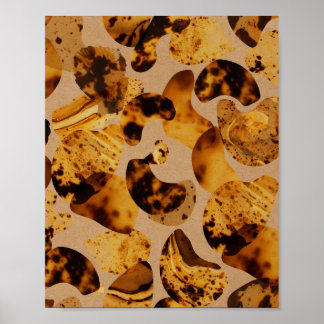Amber Schildpad Patroon Kunst Poster
