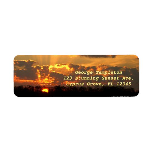 Amber Sunset Over Florida Cypress Grove Everglades Etiket (Voorkant)