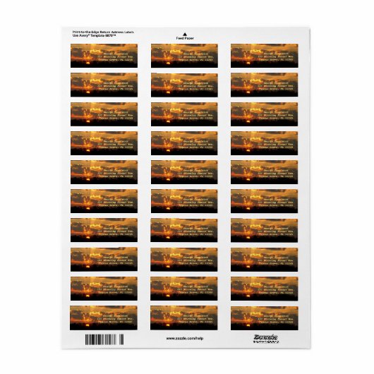Amber Sunset Over Florida Cypress Grove Everglades Etiket (Full Sheet)