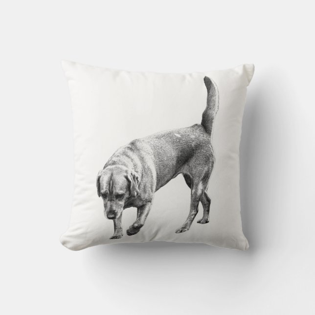 Amber Twilight Watcher Kussen (Voorkant)