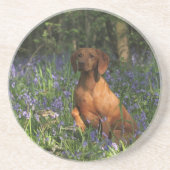 Amber Zandsteen Onderzetter (Voorkant)