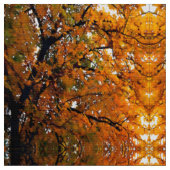 Ambergelooide bladeren van Herfst Stof (Close Up)