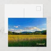 Ambergolven van graan briefkaart (Voorkant / Achterkant)