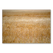 Ambergolven van graan kaart (Achterkant)