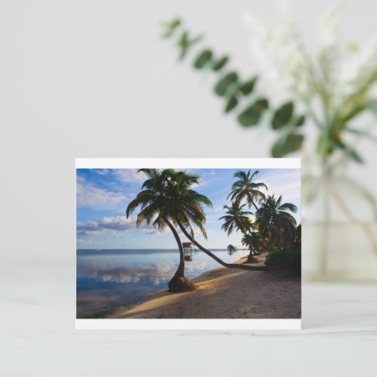 Ambergris Caye Belize Briefkaart (Staand voorkant)