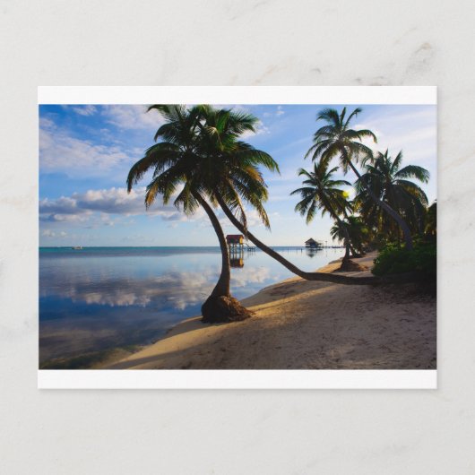 Ambergris Caye Belize Briefkaart (Voorkant)