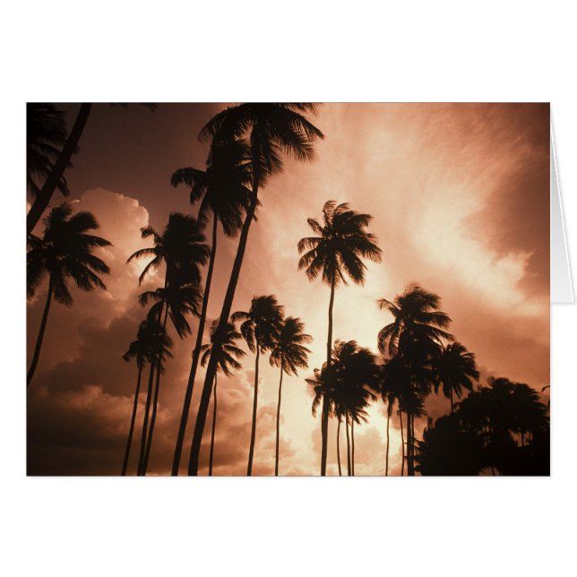 Ambergris Caye, Belize, Centraal-Amerika. 2 (Voorkant Horizontaal)