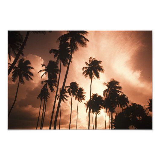 Ambergris Caye, Belize, Centraal-Amerika. 2 Foto Afdruk (Voorkant)