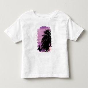 Ambergris Caye, Belize, Centraal-Amerika. Kinder Shirts