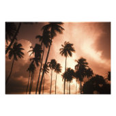 Ambergris Caye, Belize, Midden-Amerika. 2 Foto Afdruk (Voorkant)