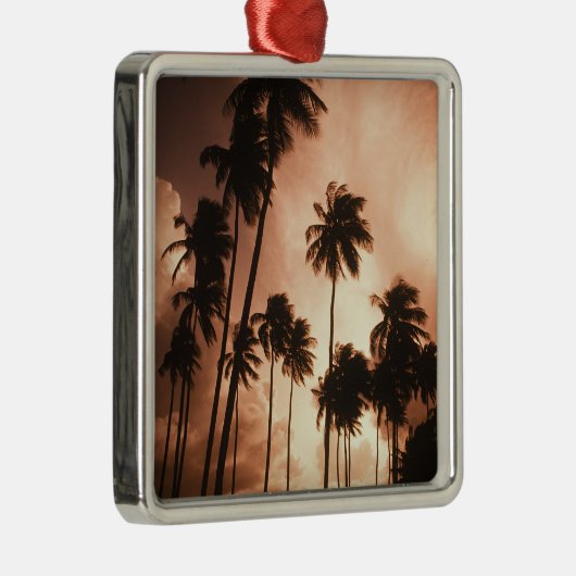 Ambergris Caye, Belize, Midden-Amerika. 2 Metalen Ornament (Rechts)