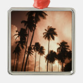 Ambergris Caye, Belize, Midden-Amerika. 2 Metalen Ornament (Voorkant)