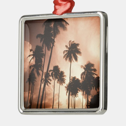 Ambergris Caye, Belize, Midden-Amerika. 2 Metalen Ornament (Links)