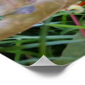 amberkleurig blad poster (Hoek)