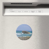 Ambers Natural Flow! Magneet (Insitu (Vaatwasser))