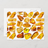 Ambersteeninsluiting Briefkaart (Voorkant / Achterkant)