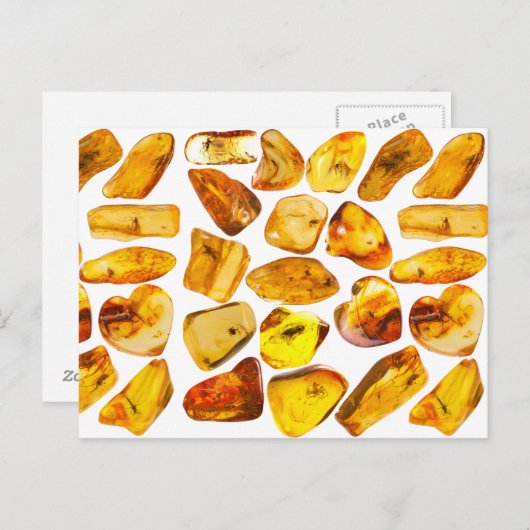 Ambersteeninsluiting Briefkaart (Voorkant / Achterkant)