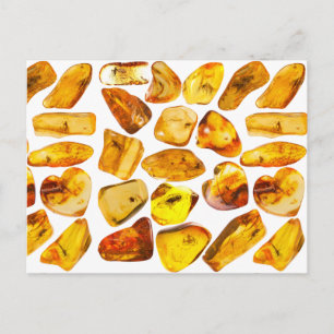 Ambersteeninsluiting Briefkaart