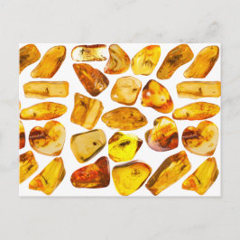 Ambersteeninsluiting Briefkaart