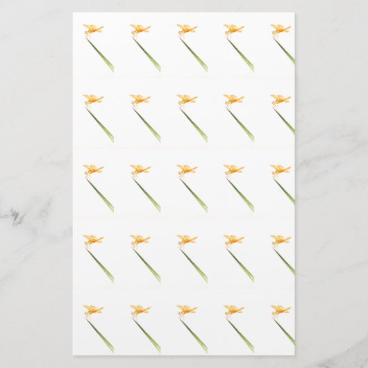 Ambervleugels, overal om briefpapier (Voorkant)
