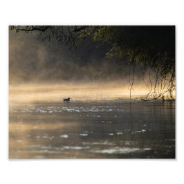 Ambiance head foto afdruk