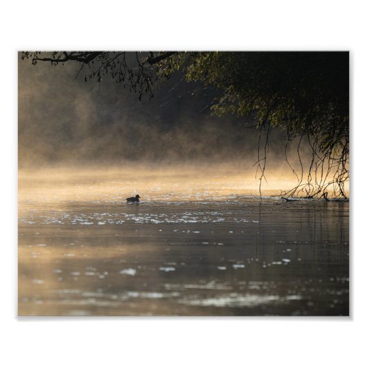 Ambiance head foto afdruk (Voorkant)