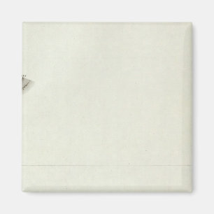 Ambleteuse Magneet