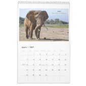 Amboseli Icons Calendar Kalender (Mar 2027)