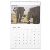 Amboseli Icons Calendar Kalender (Jan 2027)