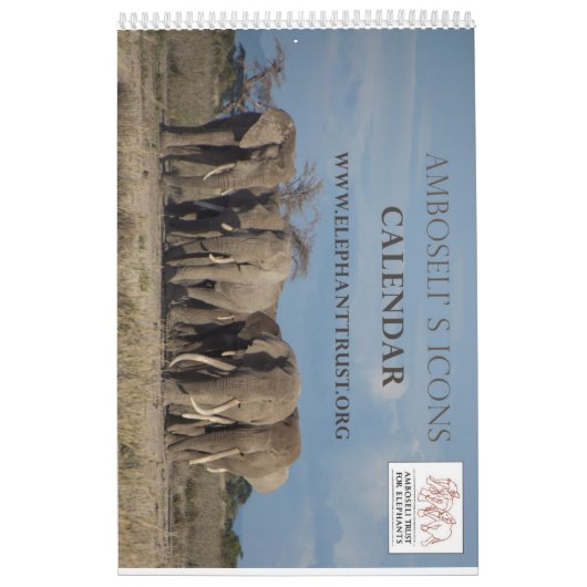 Amboseli Icons Calendar Kalender (Hoes)