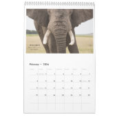Amboseli Icons Calendar Kalender (Feb 2026)