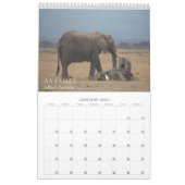 Amboseli Trust for Elephants baby boom kalender (Jan 2027)