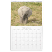 Amboseli Trust for Elephants baby boom kalender (Feb 2026)