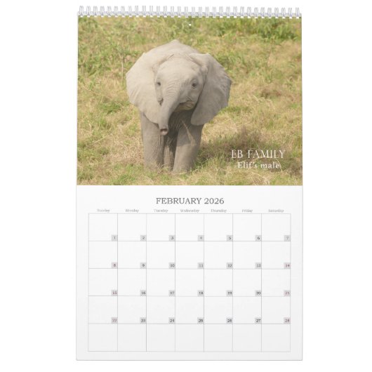 Amboseli Trust for Elephants baby boom kalender (Feb 2026)