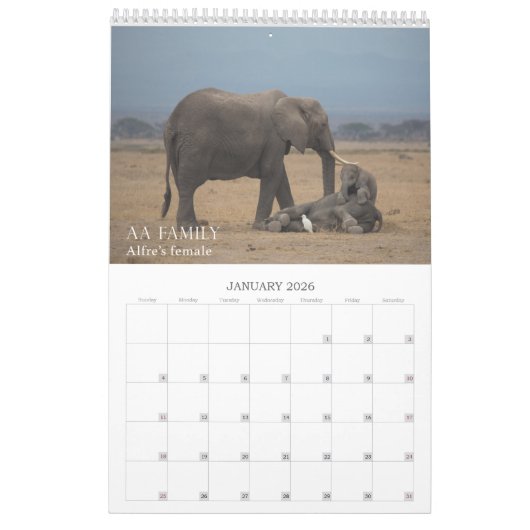 Amboseli Trust for Elephants baby boom kalender (Jan 2026)