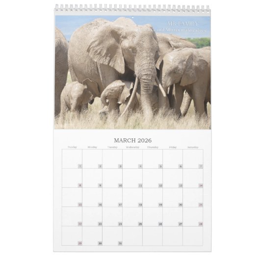 Amboseli Trust for Elephants baby boom kalender (Mar 2026)