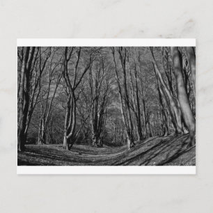 Ambresbury Banks Iron Age fortification Briefkaart