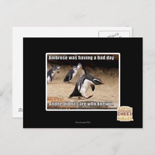 Ambrose had een slechte dag briefkaart (Voorkant / Achterkant)
