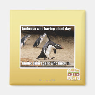 Ambrose had een slechte dag magneet