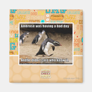 Ambrose had een slechte dag magneet