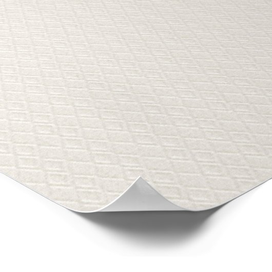 AMBTEL-ARGYLE MODERN WHITE CLOTH VAN DE EMBOSSED A POSTER (Hoek)