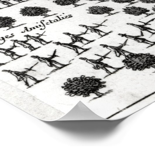 Ambus van de Iroquois Poster (Hoek)