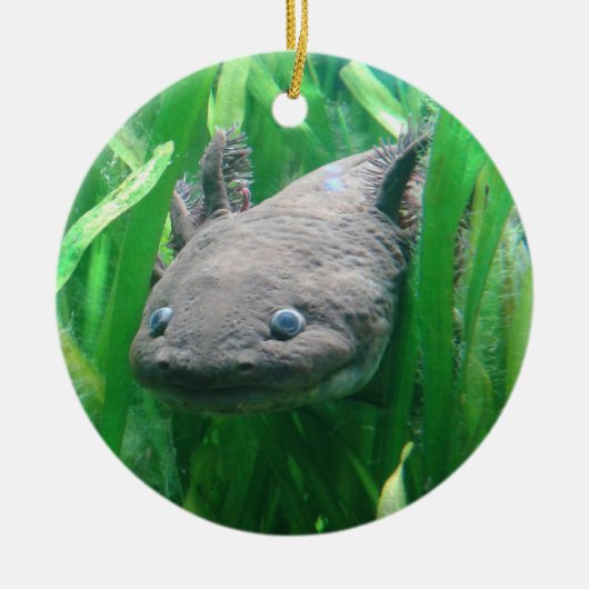 Ambystoma andersoni keramisch ornament (Voorkant)