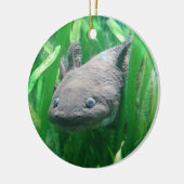 Ambystoma andersoni keramisch ornament (Links)
