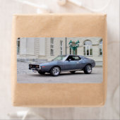 AMC Javelin SST 1974 Etiket (Insitu)