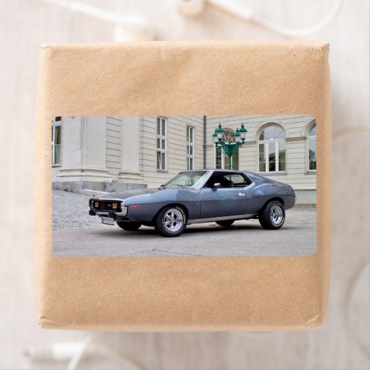 AMC Javelin SST 1974 Etiket (Insitu)