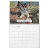 AMCA-kalender 2024 Kalender (Feb 2027)