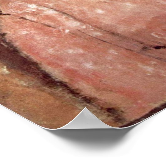 Amedeo Modigliani - Meisje met Pet Poster (Hoek)