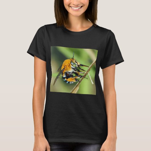 Amegilla cingulata t-shirt (Voorkant)