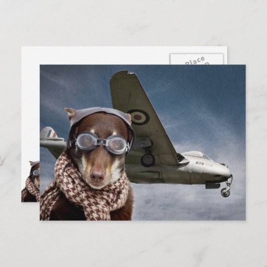 Amelia Earhart Briefkaart (Voorkant / Achterkant)